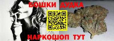 гидра Шахты