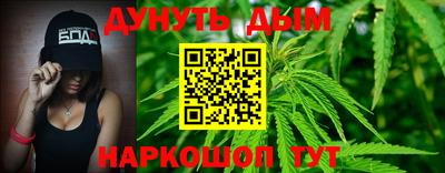 гидра Шахты