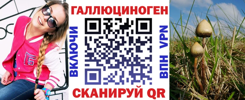 дарнет шоп  Асино  Галлюциногенные грибы Psilocybine cubensis 