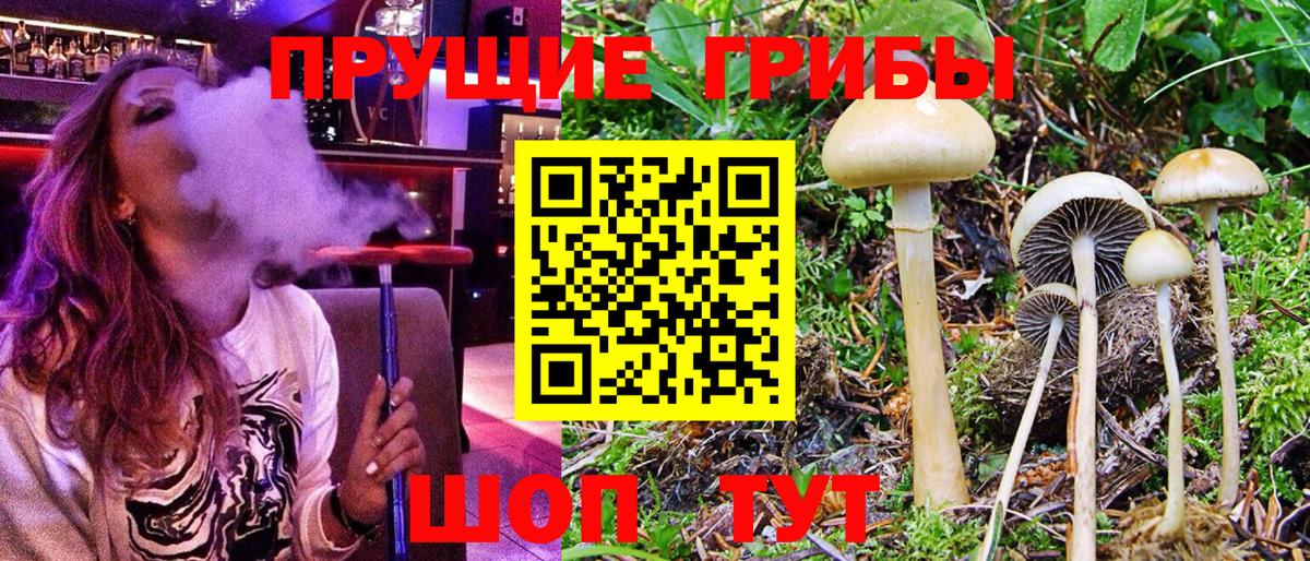 Галлюциногенные грибы GOLDEN TEACHER Асино